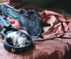In_The_Guitar_s.webp