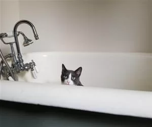 In_The_Tub_For_A_Bath_s.webp
