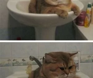 Intensifies_s.webp