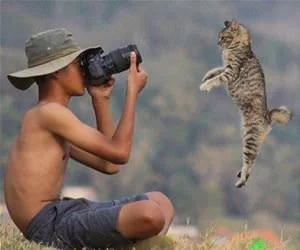 Jump_For_The_Photo_s.webp