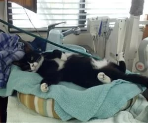 Just_Chillin4910_s.webp