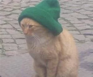 Keeping_My_Head_Warm7501_s.webp