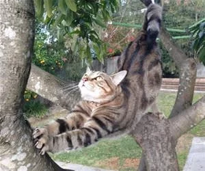 Keeping_Myself_Stretched_Out_s.webp