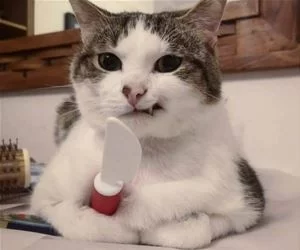 Knife_Out_s.webp
