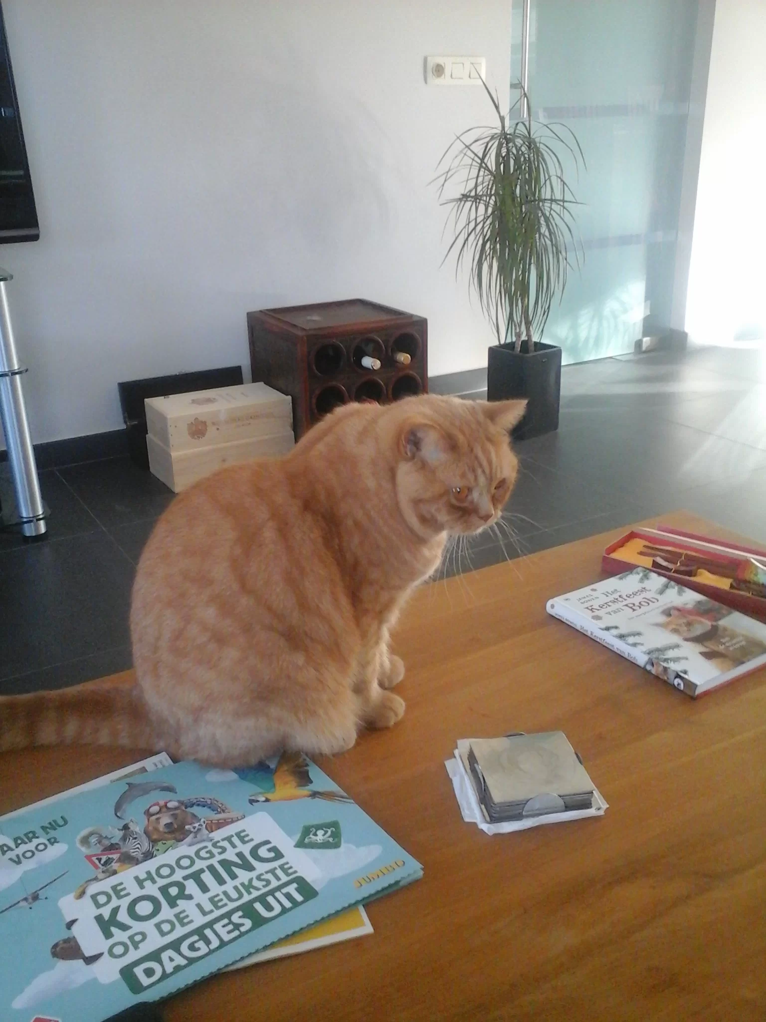 koosje binky maart 2015 058.webp