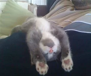 Laying_On_My_Back2160_s.webp
