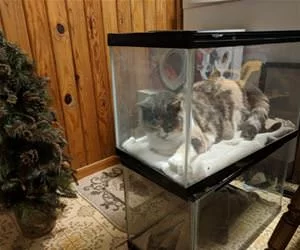 Learn_To_Be_The_Fish_s.webp