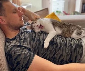 Let_Us_Take_A_Nap_s.webp