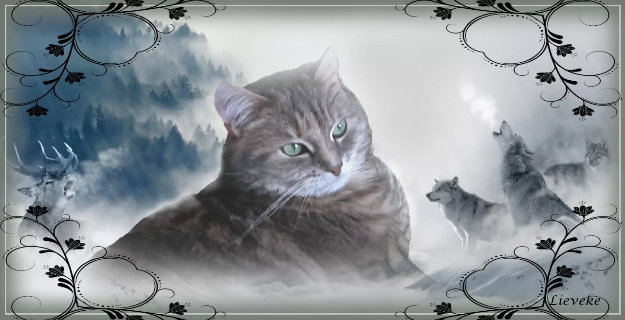 lieveke13.webp