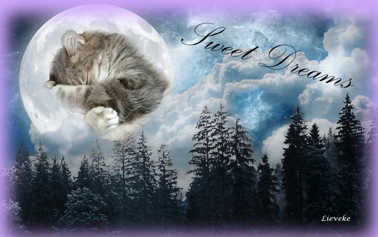 lieveke21.webp