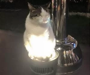 Light_Keeping_Me_Warm_s.webp