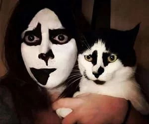 Like_Twins_s.webp