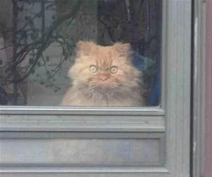 Looking_Out_There_s.webp