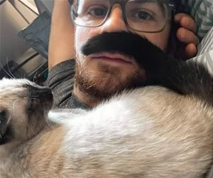 Made_A_Mustache_s.webp