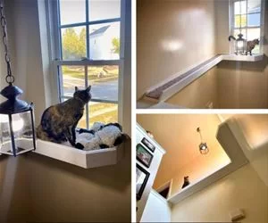 Made_My_Cat_A_Bridge_s.webp