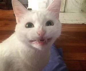 Making_My_Pretty_Face_s.webp