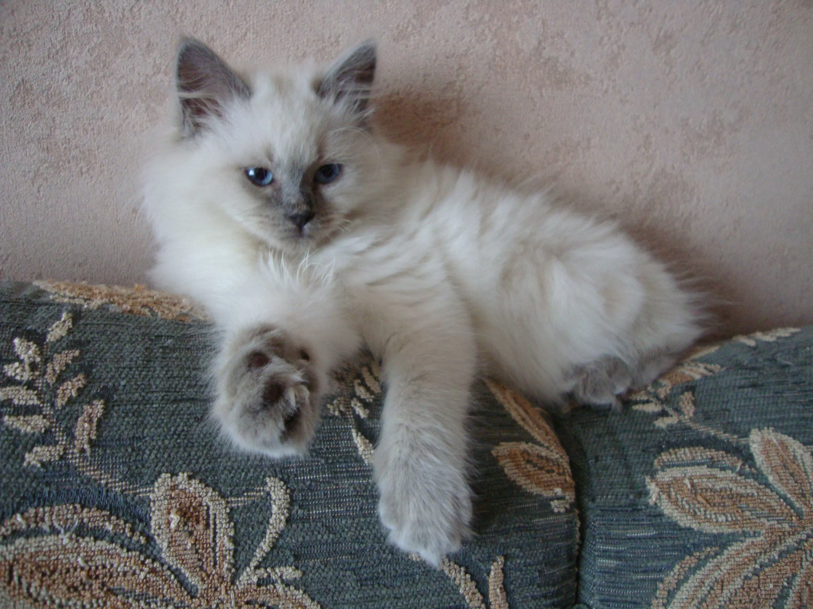 Mila 020.webp
