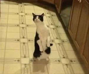 Movement_By_The_Can_Opener_s.webp