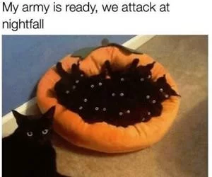 My_Army_Is_Ready_s.webp