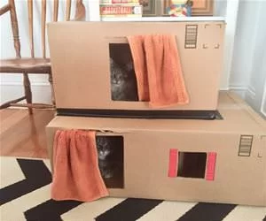 My_Awesome_Cat_House_s.webp