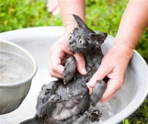 My_Bath_Time8565_s.webp