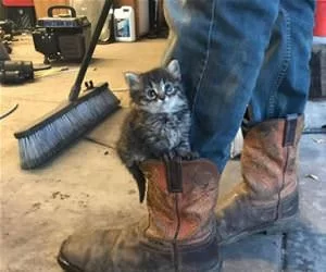 My_Boots3085_s.webp