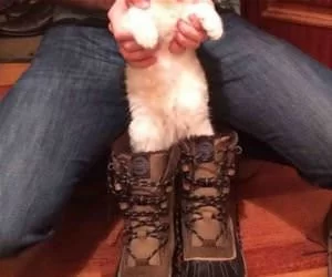 My_Boots_s.webp