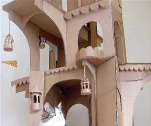 My_Cat_Castle_s.webp