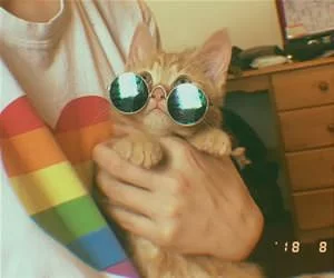 My_Cool_Glasses651_s.webp