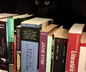 My_Eyes_Are_Up_Here_s.webp