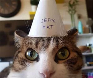 My_Hat7485_s.webp