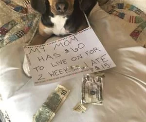 My_Moms_Money_s.webp