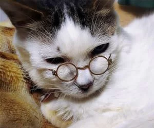 My_Nerdy_Glasses_s.webp