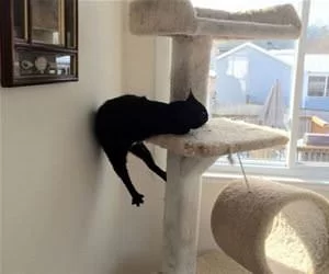 My_Place_To_Relax_s.webp