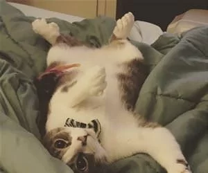 My_Relaxing_Pose_s.webp
