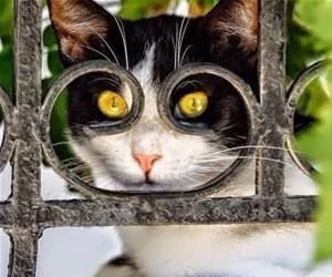 My_Special_Hangout_Place_s.webp