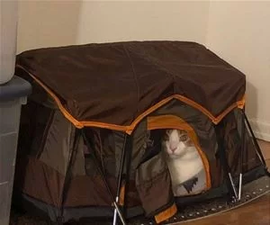 My_Tent_s.webp
