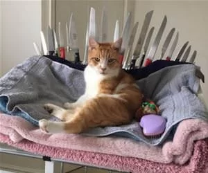 My_Throne_s.webp