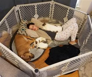 Napping_Together5418_s.webp