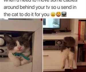 Need_To_Move_Some_Cables_s.webp