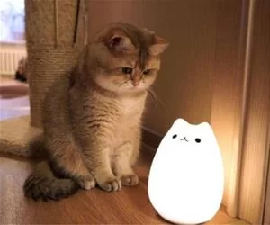 Nice_Light_s.webp