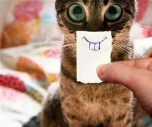 Nice_Smile_s.webp