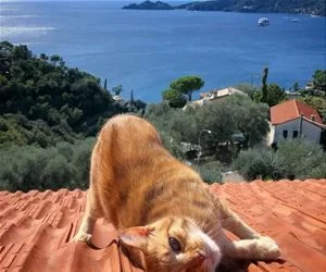 Nice_View_s.webp