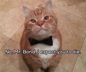 No_Mr_Bond_s.webp