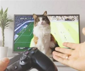 No_Video_Games_For_You_s.webp