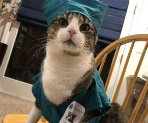 Nurse_s.webp