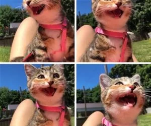 Oh_Yeaaaaaaaaaaa_s.webp