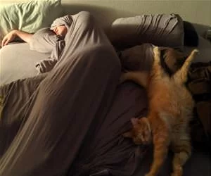 On_My_Back_Stretching_s.webp