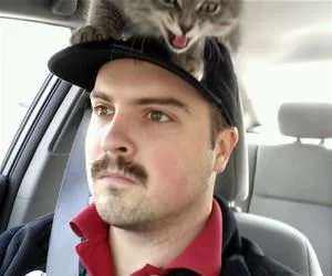 On_The_Hat_s.webp