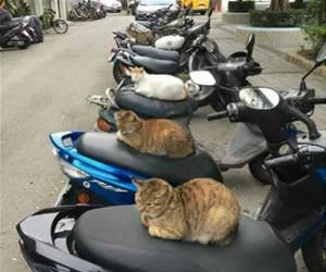 Our_Bikes_s.webp